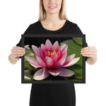 Tableau Fleur de Lotus (La Mère) Haute Définition