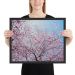 Tableau Cerisier Japonais à l'Hanami design