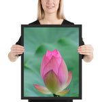 Tableau Lotus Rose Transparente