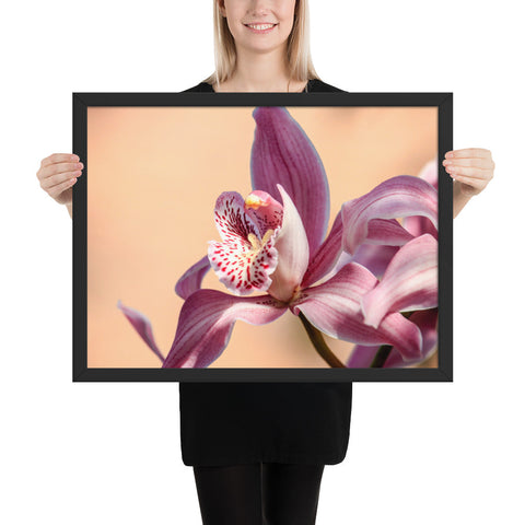 Tableau Fleur d'Orchidée Rose