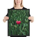Tableau Fleur Tulipe Moderne en Zoom