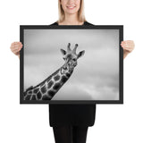 Tableau Girafe Noir et Blanc (Ciel)