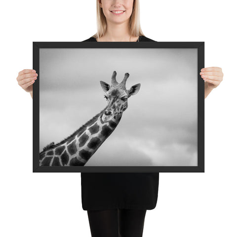 Tableau Girafe noir et blanc - Affiche animaux