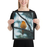 Tableau Oiseau Orange sur branche 