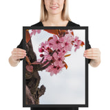 Tableau Arbre Cerisier en Fleur Hanami