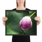 Tableau Fleur de Lotus Dormant en Zoom