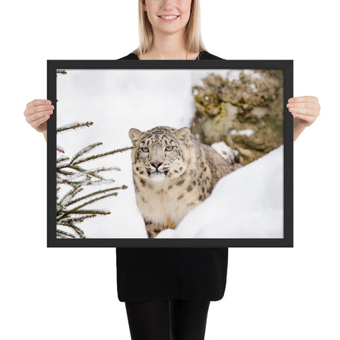 Tableau Léopard Solitaire dans la Neige