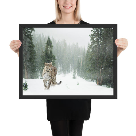 Tableau Léopard dans la Neige Blanche