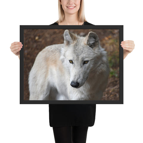 Tableau Moderne Loup Blanc