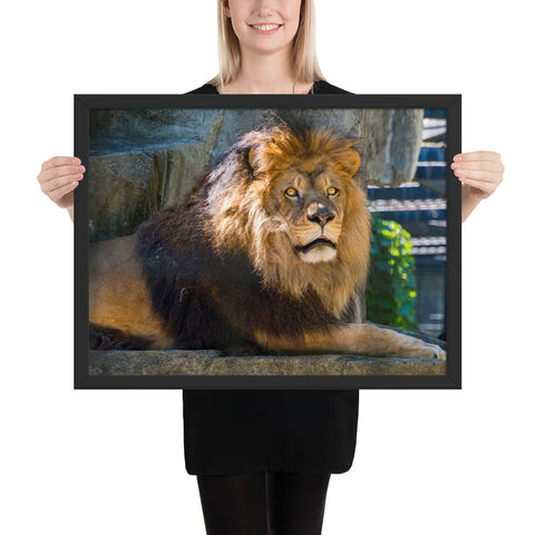 Tableau Lion Moderne