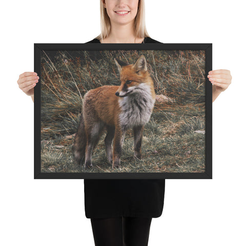 Tableau Renard Moderne