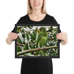 toile murale tropical perroquet