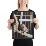 Tableau Animaux Cage à Oiseau