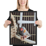Tableau Cage à Oiseau Merle