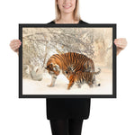 tableau tigre peinture grand cadre