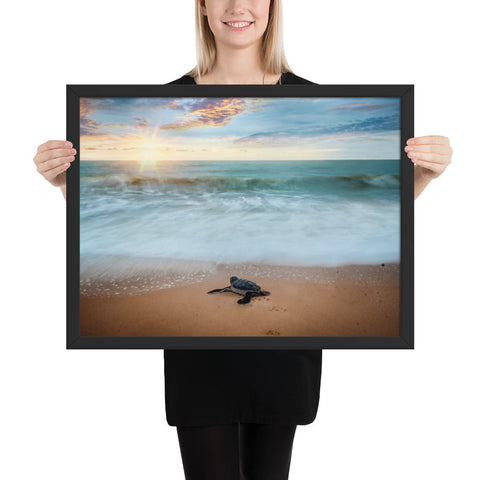 Tableau Tortue de Sable Marin