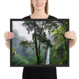 Tableau tropical chute d'eau naturelle