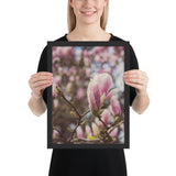 Tableau Fleur de Magnolia Rose Pâle en Zoom