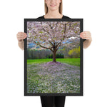 Tableau Fleur Panoramique Cerisier