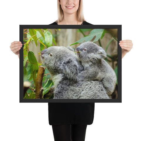 Tableau Koala et son Enfant