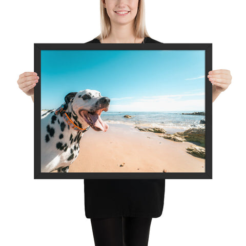 Tableau Dalmatien Balade