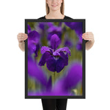Tableau Fleur d'Iris Violette