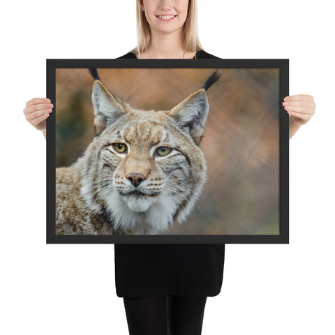 Tableau XXL Lynx