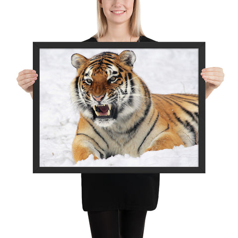 tableau moderne tigre sauvage