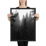 Tableau Forêt Noir et Blanc Sapins 