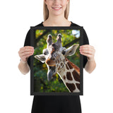 Tableau Girafe Tête de Girafe (Tire la langue)