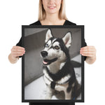 Tableau Chien Loup Husky Yeux Veron