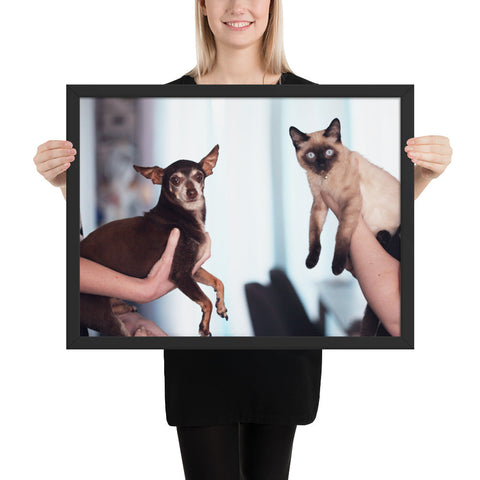 Tableau Chihuahua et son Copain