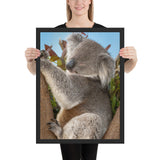 Tableau Koala Marsupial