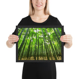 Tableau bambou sauvage