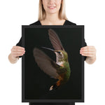 Tableau Oiseau Voltige Grand Format