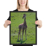Tableau Girafe Bébé Perdue dans la Savane