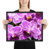 Tableau Fleur d'Orchidée Violette