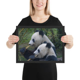 Tableau Noir et Blanc Panda