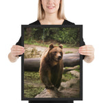 Tableau Animaux  Grizzly Majestueux