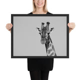 Tableau Girafe  Noir et Blanc (en Afrique)