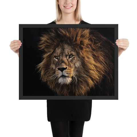 Tableau  Tête de Lion sur Fond Noir