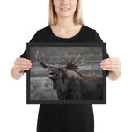 Tableau Animaux Elan (Moose)