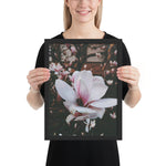Tableau HD Fleur de Magnolia aux Reflets Roses