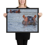 Tableau Hippopotame nageant dans L'Eau