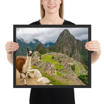 Tableau Lama au Machu Picchu