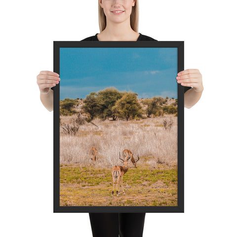 Tableau Paysage Savane Africaine Antilopes