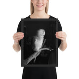 Tableau Déco Oiseau Noir et Blanc Profil