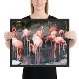 Tableau avec Flamant Rose en Famille