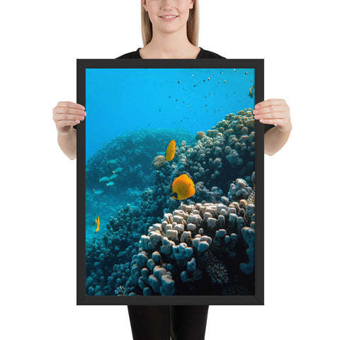 Tableau Paysage Marin (Poisson Orange)