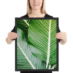 Tableau tropical palm verte